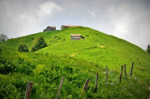 Ennio_2