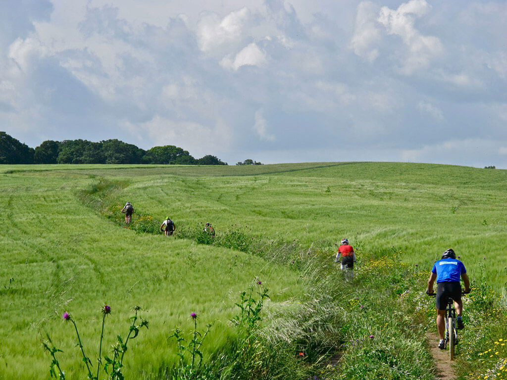 VERDE SPETTACOLO IN CORSA DA INSEGUIRE