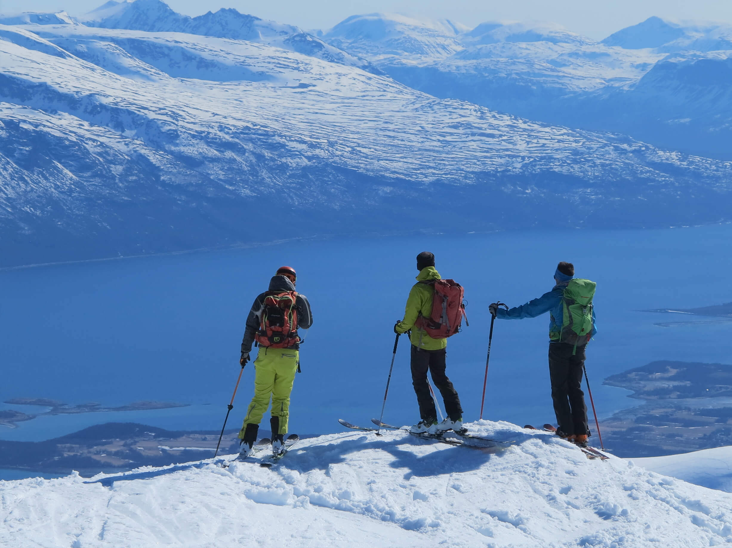 norvedia